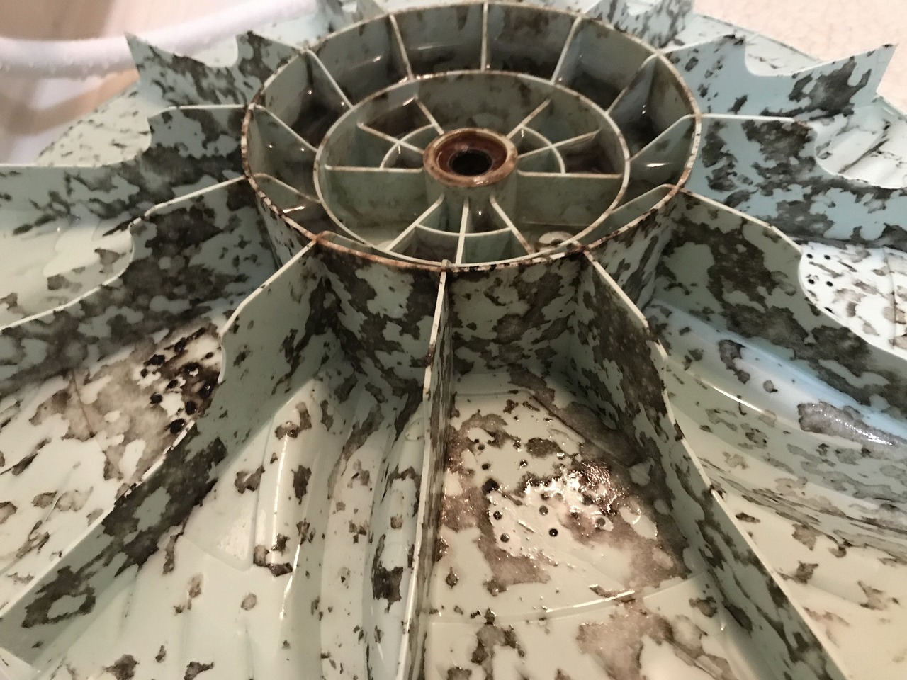 <( ﾟДﾟ)洗濯槽のカビ・ルンルン★