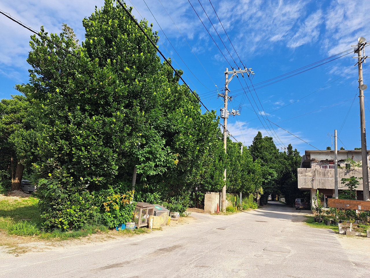 本部町備瀬売地